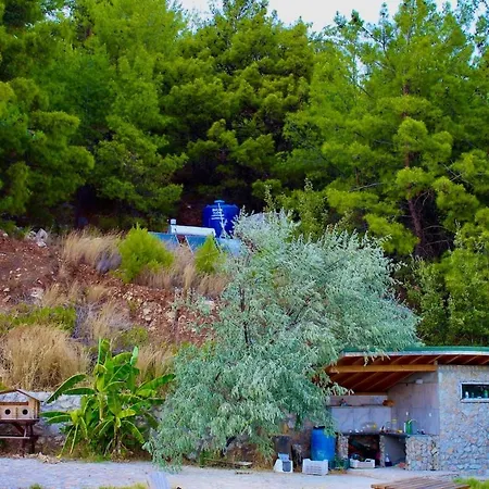 The Vista Village