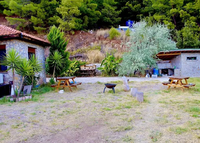 The Vista Village *