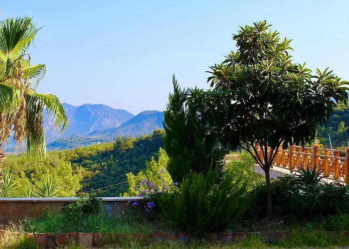 The Vista Village *