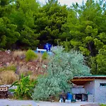 The Vista Village