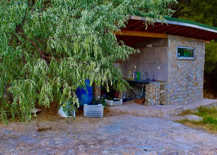 The Vista Village