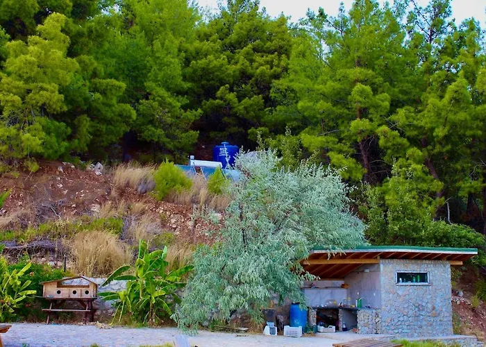 The Vista Village